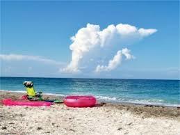 Spiaggia delle tartarughe